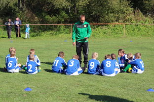 九游用户空间-德甲球队构建战术模拟平台提升临场决策能力,德甲模式