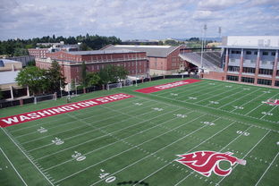 -篮球专项体能训练监测技术及应用实践，篮球项目的体能训练方法