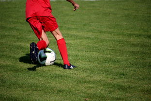 九游娱乐官网 (jiuyou)-篮球运动员心理韧性培养与干预体系，篮球运动员的心理选材